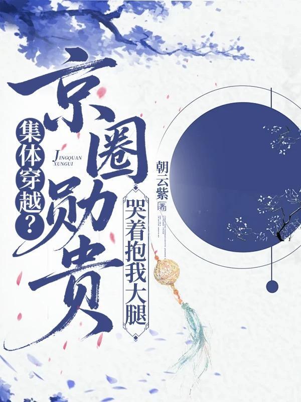 破局：纪委书记封面