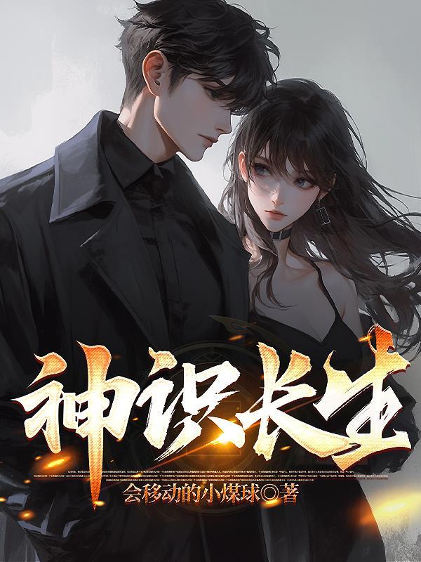 我当县委书记封面