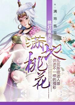 沉沙诡影封面