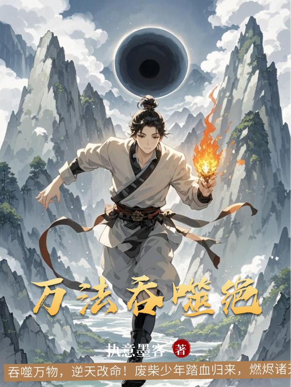 巅峰玩家内封面