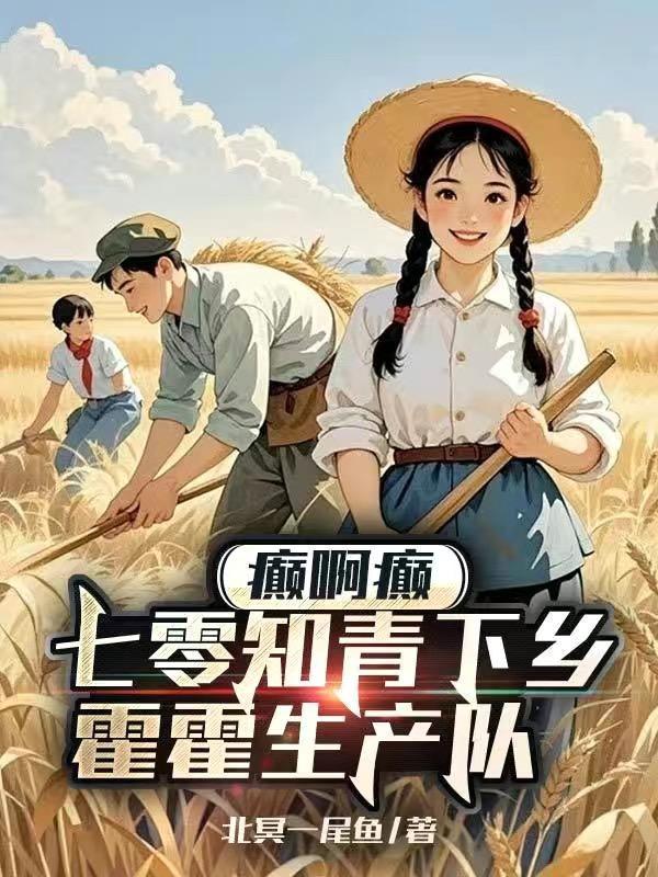 青宸回响封面
