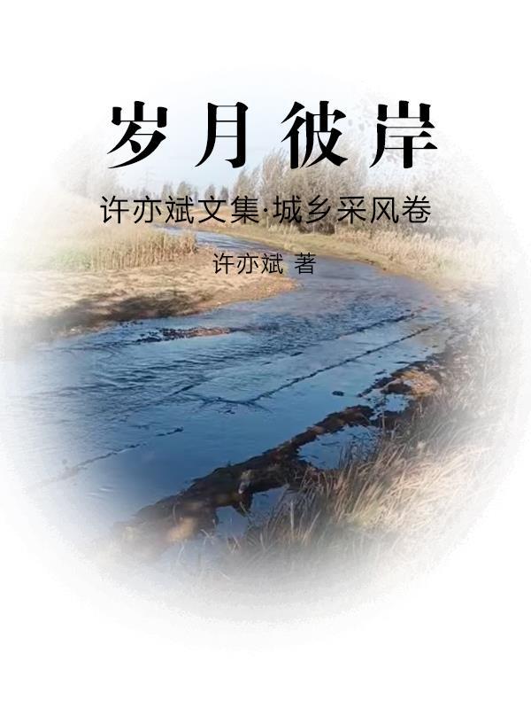 巫界征途封面