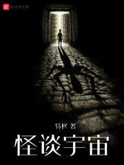 虚拟之舟封面