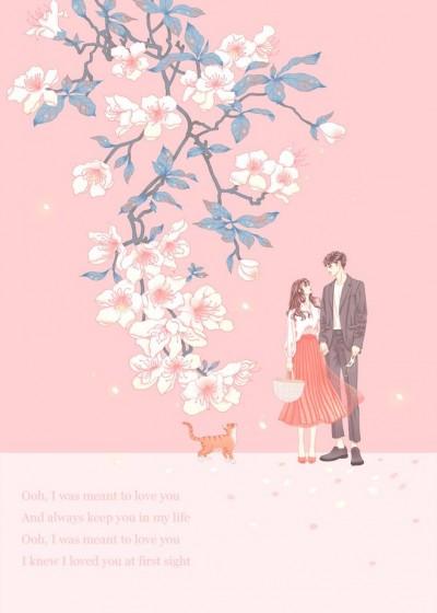 重生之草根芳华封面