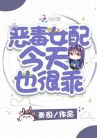 照明月封面