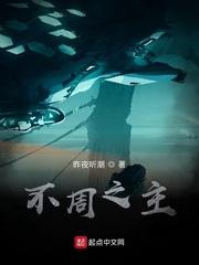都市枭雄封面