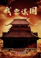 许你鲜衣怒马封面