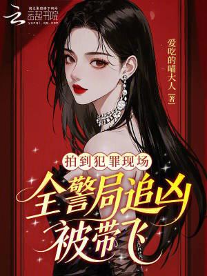 仙人消失之后封面