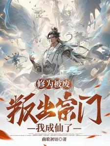 公主烦恼日记封面