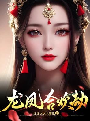 灵魂绳匠漫游日志录封面