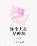 妻子的报复封面