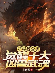 权力：巅峰之路封面