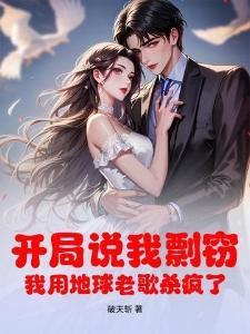 天落青雨封面