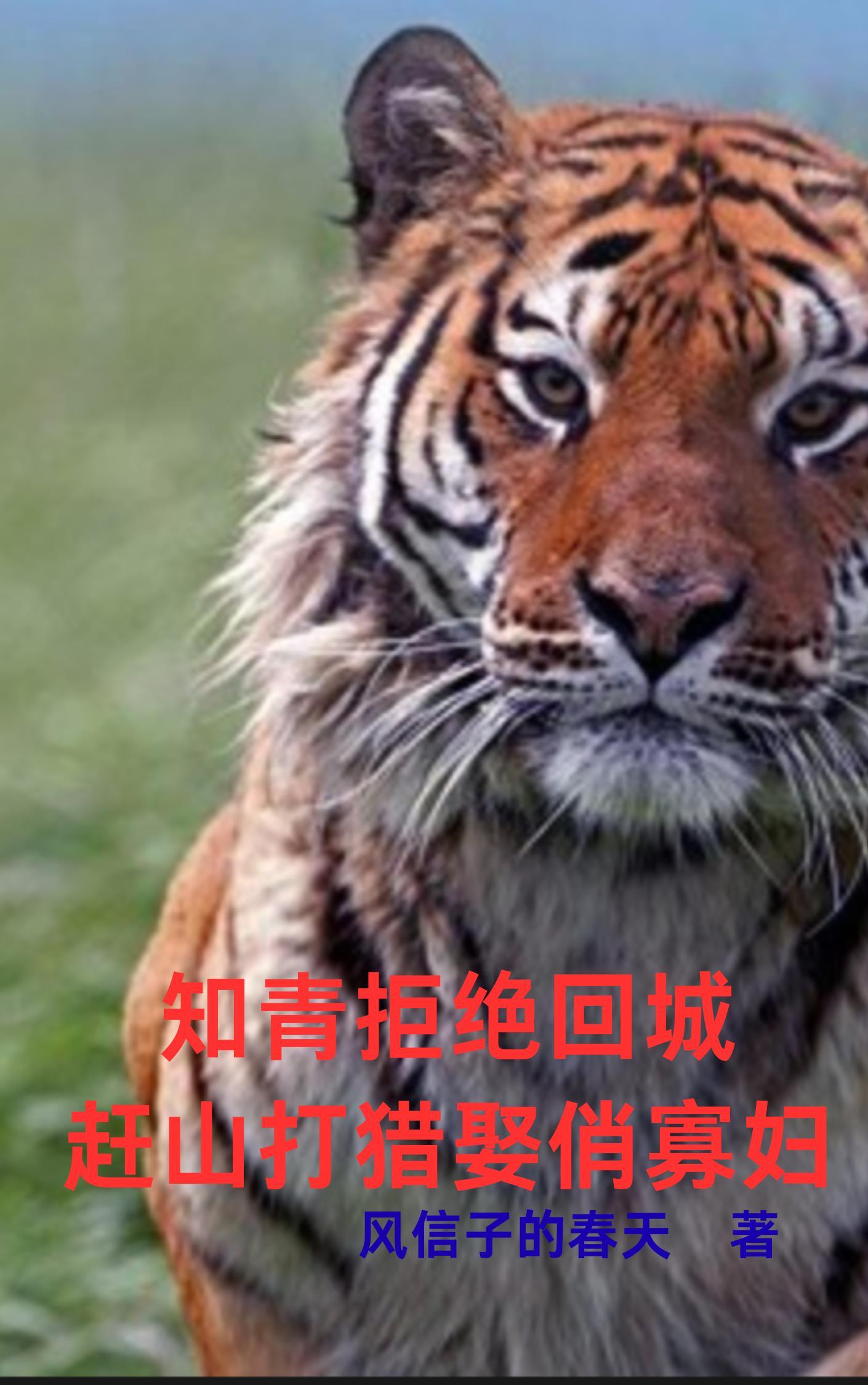 唯一道神封面
