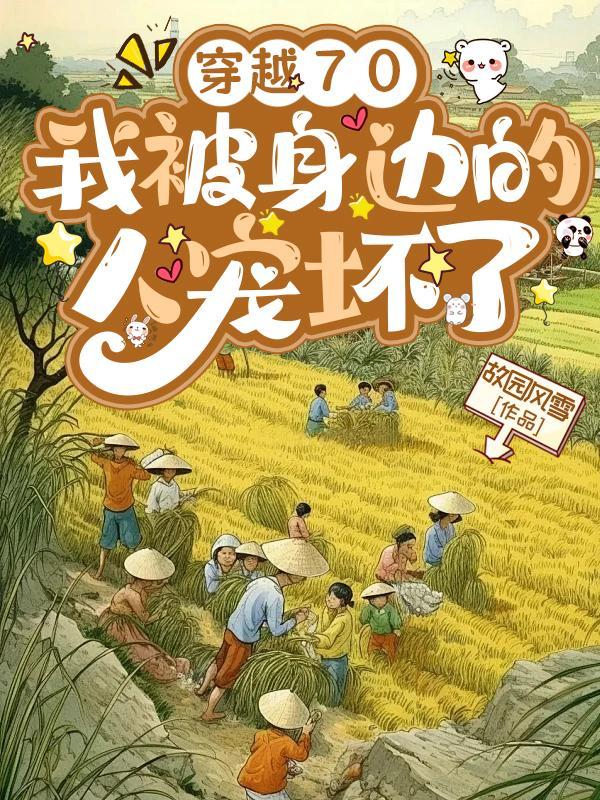 村后有片玉米地封面