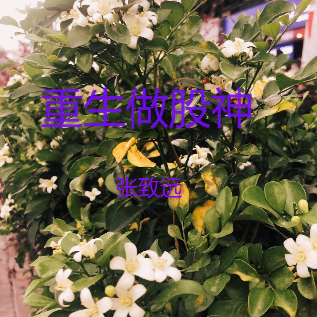 僵尸：九叔，女鬼都留给我超度吧封面