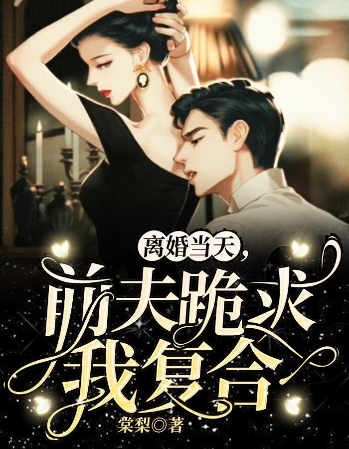 赵家院子封面