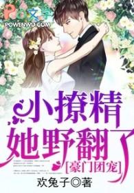 我在修仙界以情证道封面