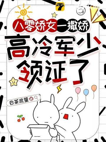 美利坚严父封面
