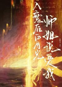 红楼之我是贾琏他哥全文封面
