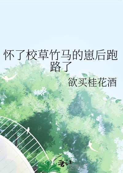 盛明大驸马封面
