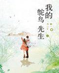 直球小夫郎封面