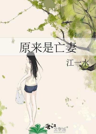 我在流浪终点等你封面