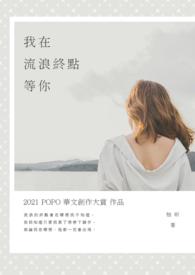 你是我的星光封面