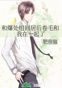 当我需要你封面
