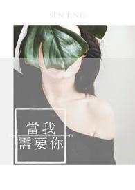 候鸟之歌封面