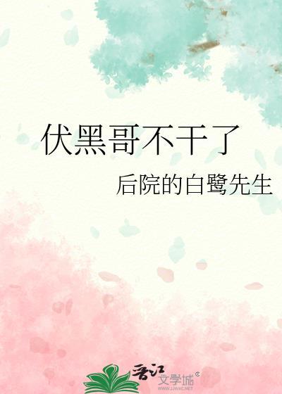 彭格列马甲的航海日志封面