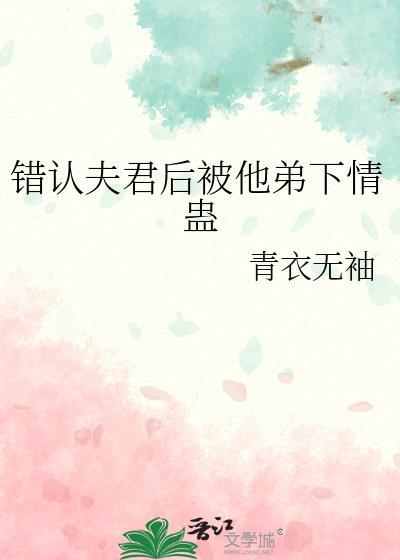 风筝引线封面