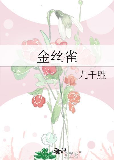 相见欢封面