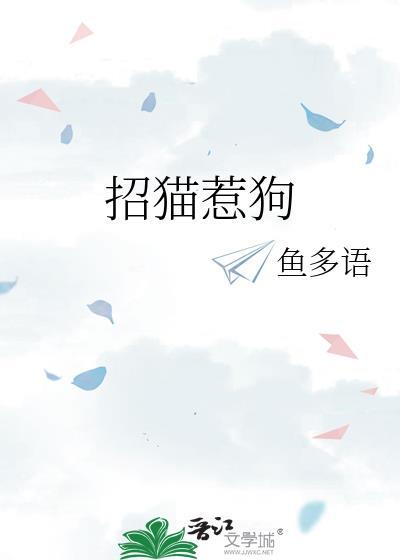 试婚封面