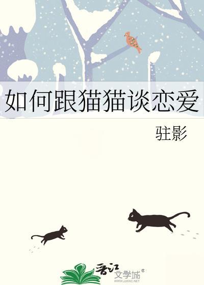 伺机上位封面