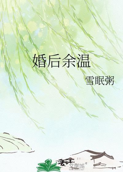 圣骑士决定……封面