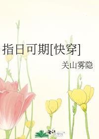 盛世小货郎封面